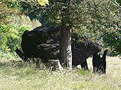 Rouffignac-Saint-Cernin dolmen Cayre (2) .JPG