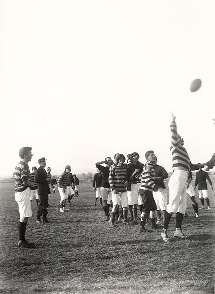 File:Rugby-union-lineout-r.jpg