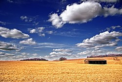 A view of a farm in Mount Pleasant Township