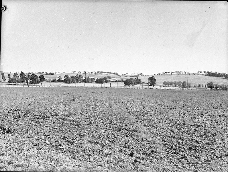 File:SLNSW 25992 Edgells Asparagus factory Bathurst.jpg