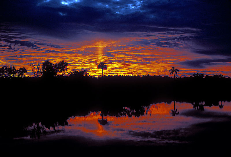 File:SUN sunrise in palms NPSPhoto, Van Nimwegen, Dec 75 (1) (9257922398).jpg