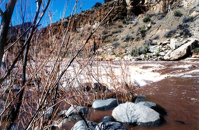 The Salt River as seen in Salt River Canyon, 2004