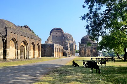 Ruins of Bahmani tombs