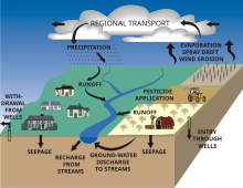 Diagram of pesticide routes into streams and groundwater Schematic diagram illustrating routes of pesticides into streams and groundwater.svg