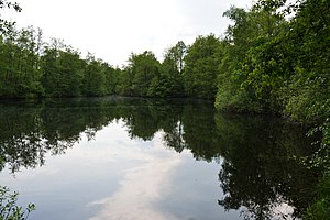 Schleswig-Holstein, Krempermoor, Landschaftsschutzgebiet Geesthang bei Dägeling mit Bockwischer Moor NIK 5984.JPG