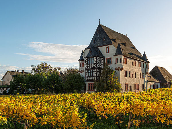 Schloss Schönborn