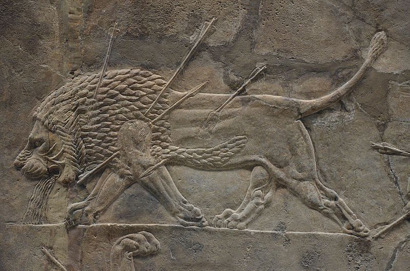 File:Sculpted reliefs depicting Ashurbanipal, the last great Assyrian king, hunting lions, gypsum hall relief from the North Palace of Nineveh (Irak), c. 645-635 BC, British Museum (16722131531).jpg
