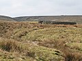 wikimedia_commons=File:Sheepfold above Rookhope Burn at Wolf Cleugh - geograph.org.uk - 1230588.jpg