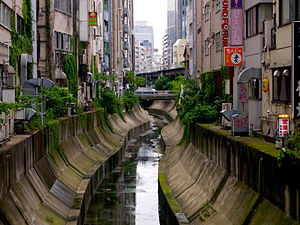 Shibuya River