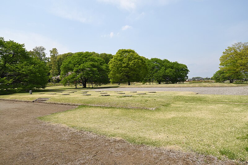 File:Shimotsuke Kokubunniji-ato, chumon-3.jpg