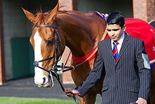 Sire De Grugy.jpg 