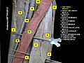 Sartorius muscle - Wikipedia