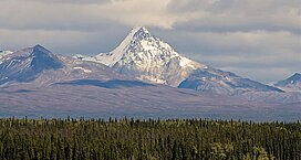 Snider Puncak AK.jpg