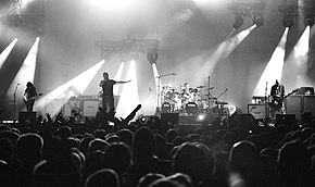 System of a Down en concert en 2013.