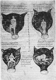 Illustration of embryo in a medieval reproduction of Soranus' treatise Soranus of Ephesus, Gynaecology, Brussels, Ms. 3714.jpg