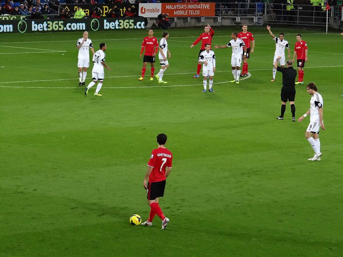 Swansea 0-1 Cardiff City: Aiden Flint fires Bluebirds to first South Wales  derby win since 2013, Football News