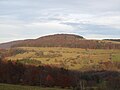 Vorschaubild für Steinkopf (Wüstensachsen)