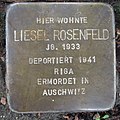 image=File:Stolperstein Stadthagen Wallstraße 3 Lisel Rosenfeld.jpg