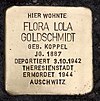 Stolperstein Thomasiusstr 14 (Moabi) Flora Lola Goldschmidt.jpg