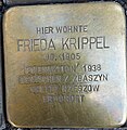 wikimedia_commons=File:Stolpersteine Ulm Frieda Krippel.jpg