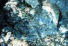 Цианобактериялардан қалған стоматолиттер жер бетіндегі ең көне тіршілік иелерінің бірі есептеледі