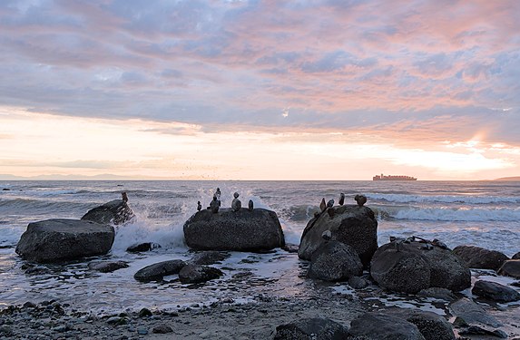 en:Pacific Spirit Regional Park