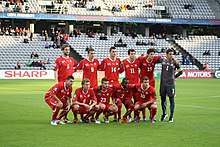 Switzerland national under-21 football team at the 2011 UEFA European Under-21 Football Championship