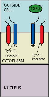 <span class="mw-page-title-main">Upstream and downstream (transduction)</span>