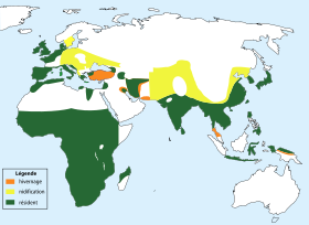 Tachybaptus ruficollis-map-distribution.svg