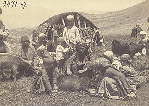 Talysh people in Iran.jpg