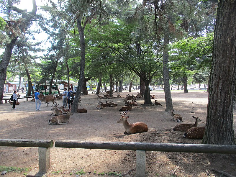 File:Taman Nara.jpg