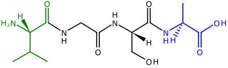 Tập_tin:Tetrapeptide_structural_formulae.svg