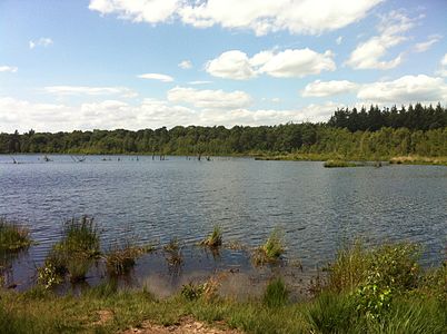 Hazenputten; ven in het Vressels Bos