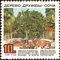 The Soviet Union 1970 CPA 3868 stamp (Friendship Tree, Sochi with label).jpg