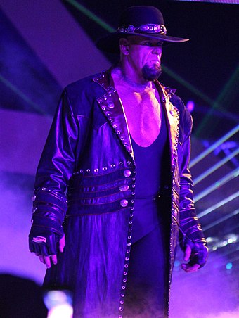 The Undertaker wrestled Bray Wyatt at WrestleMania in his first appearance since losing to Brock Lesnar at the previous year's event