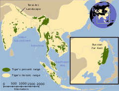 Tiger map.svg
