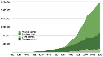 Aquaculture production in tonnes of all true salmon species 1950-2010, as reported by the FAO Time series for global aquaculture of true salmon.png