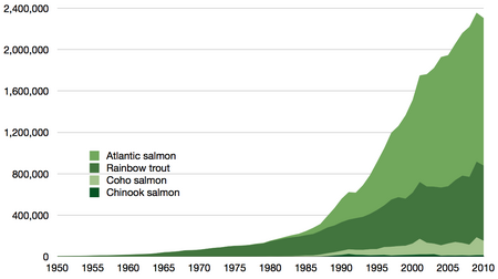 Tập_tin:Time_series_for_global_aquaculture_of_true_salmon.png