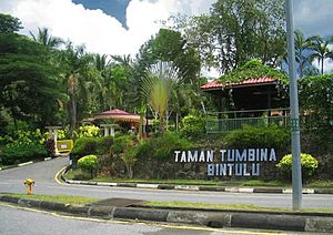 Bintulu