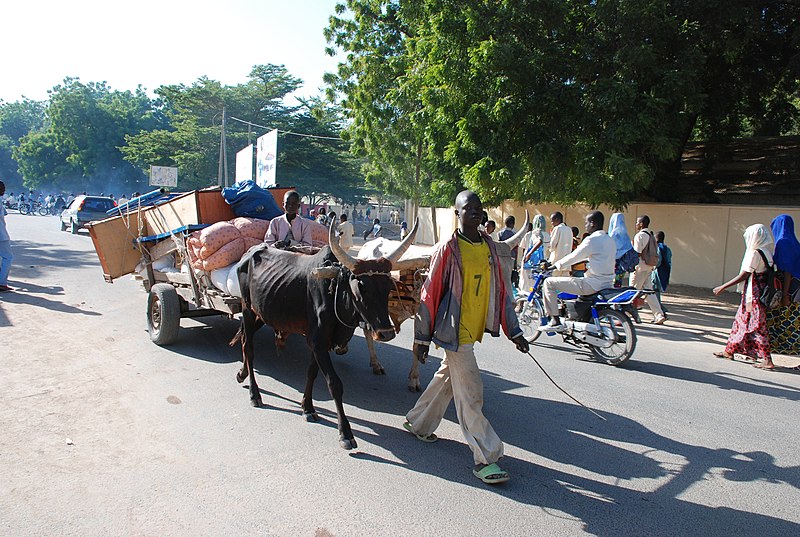 File:Transport dans la ville de Garoua2.jpg