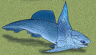 <i>Turrisaspis</i> species of fish (fossil)
