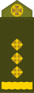 Знак на плече UA 17.svg