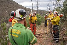 US Forest Service firefighters and Australian firefighters discuss plans to clear brush along a trail in Victoria, Australia. US Firefighters in Australia.jpg