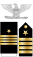 Американски флот O6 insignia.svg