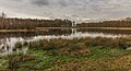 * Nomination View of lake. Location, nature Delleboersterheide - Cats Poele, in the Netherlands. --Famberhorst 15:35, 27 March 2016 (UTC) * Promotion GQ --Palauenc05 15:54, 27 March 2016 (UTC)