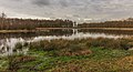 Uitzicht op poel. Locatie, natuurgebied Delleboersterheide – Catspoele.