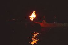 Cormorant fishing in Nagara River