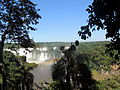 * Nomination Viiew of Iguazu Falls, brazilian side --Ezarate 23:18, 24 February 2014 (UTC) * Decline Lacks fine detail, CA, overexposure, focus on the trees rather than subject. --Mattbuck 00:24, 2 March 2014 (UTC)