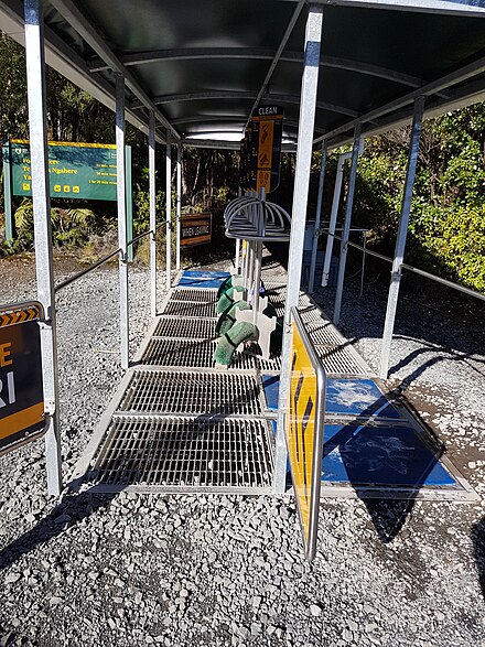 Footwear cleaning stations at the entrance to a kauri forest