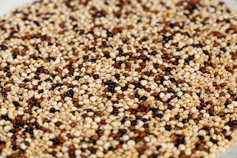 File:White, red, and black quinoa.jpg